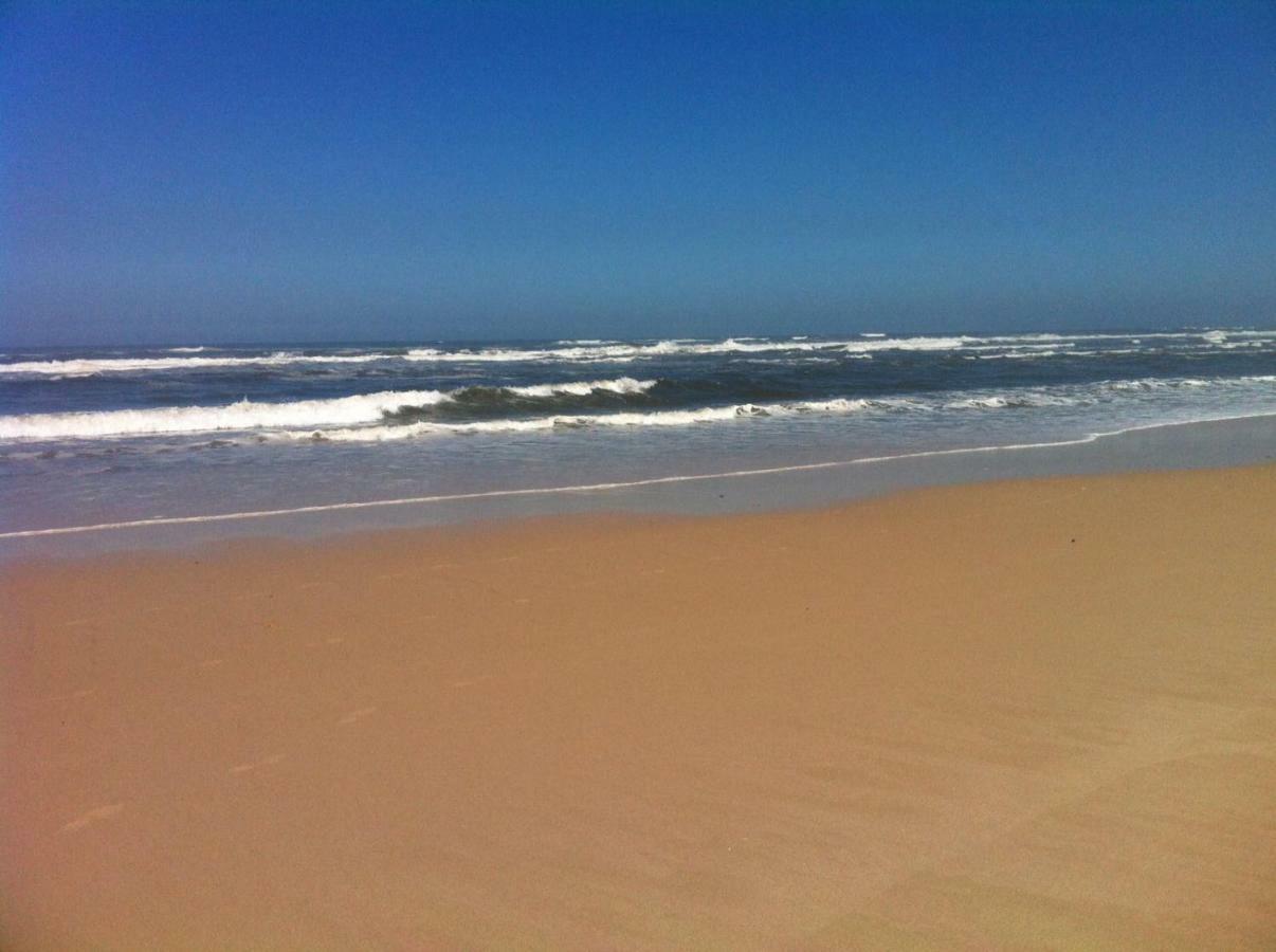 Lovely And Cozy Quiaios 1 Bed Apartment Praia de Quiaos 外观 照片